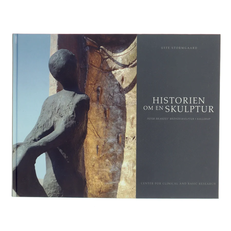 Historien om en skulptur (Bog)