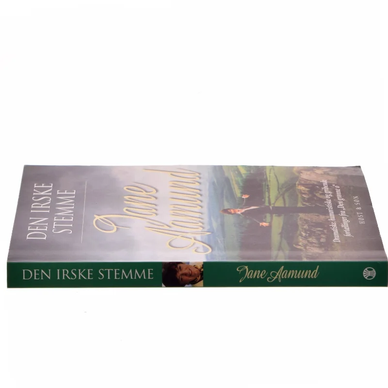 Den irske stemme : fortællinger af Jane Aamund (Bog)