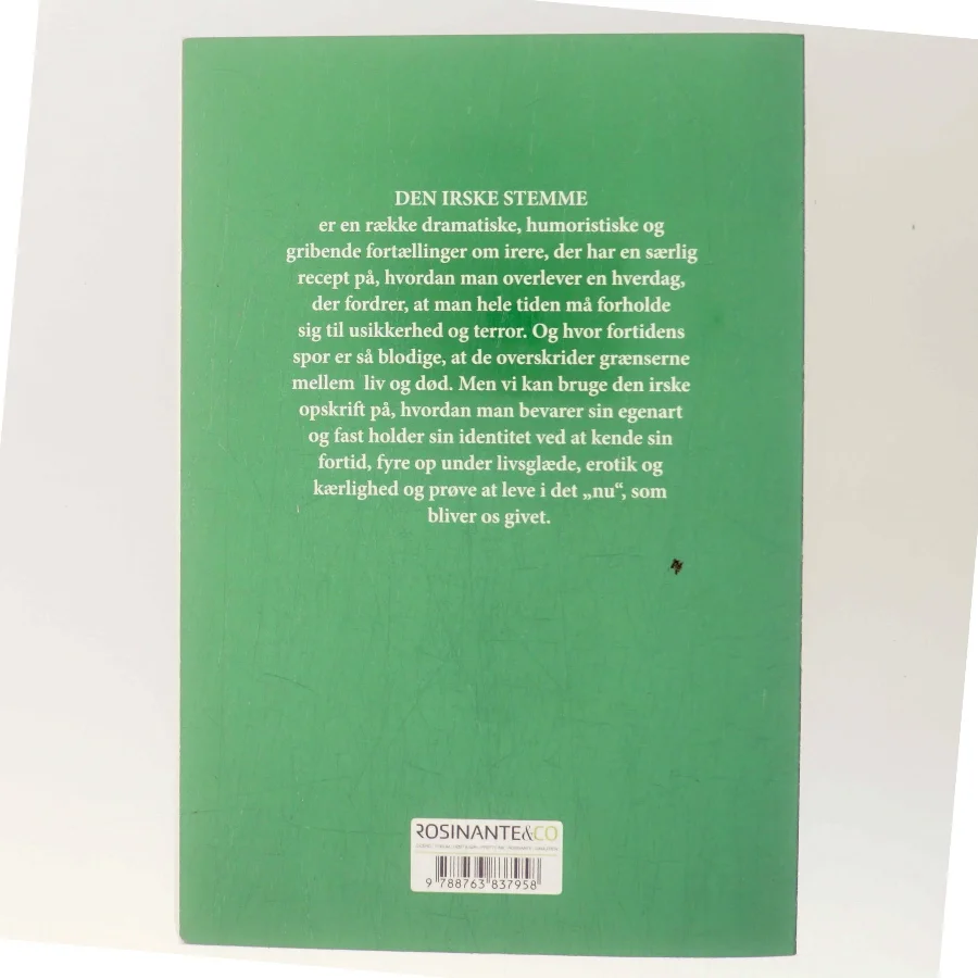 Den irske stemme : fortællinger af Jane Aamund (Bog)