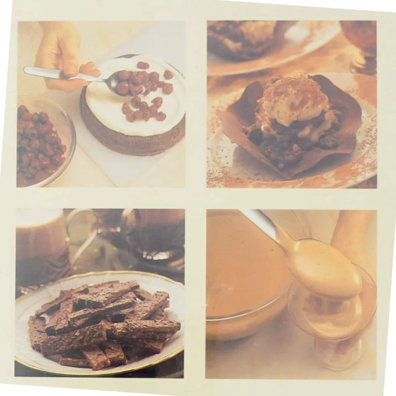 Chokolade delikatesser : de lækreste kager og desserter af Christine France (Bog)