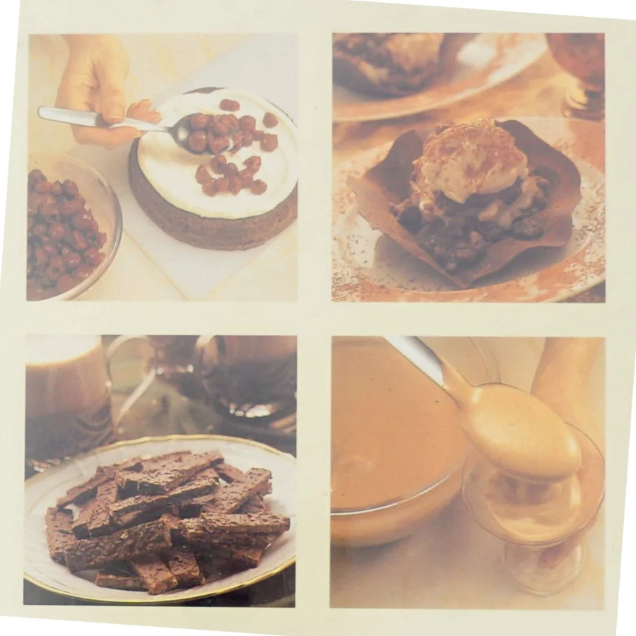 Chokolade delikatesser : de lækreste kager og desserter af Christine France (Bog)