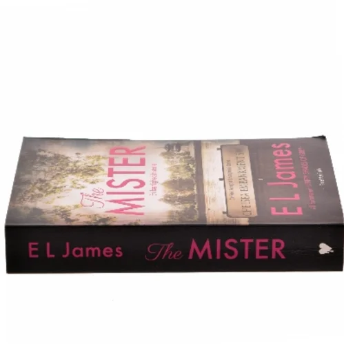 The mister af E. L. James (Bog)