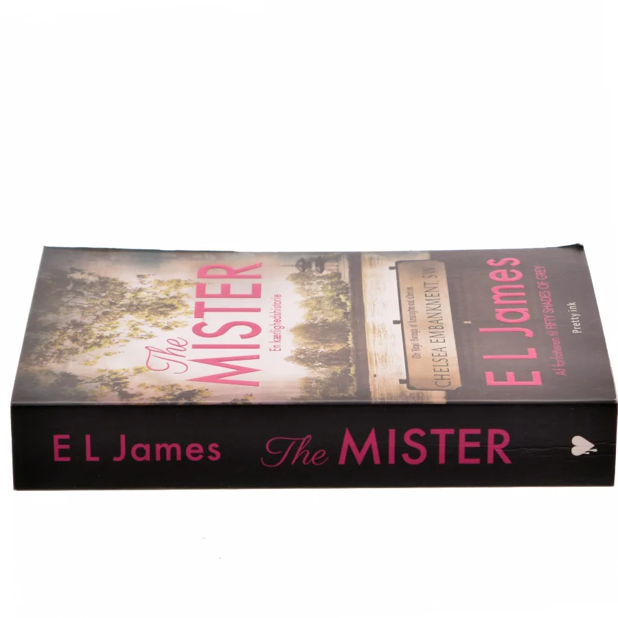 The mister af E. L. James (Bog)