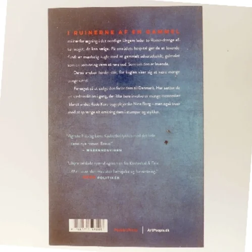 Et stille umærkeligt drab : en Nina Borg roman af Lene Kaaberbøl (Bog)