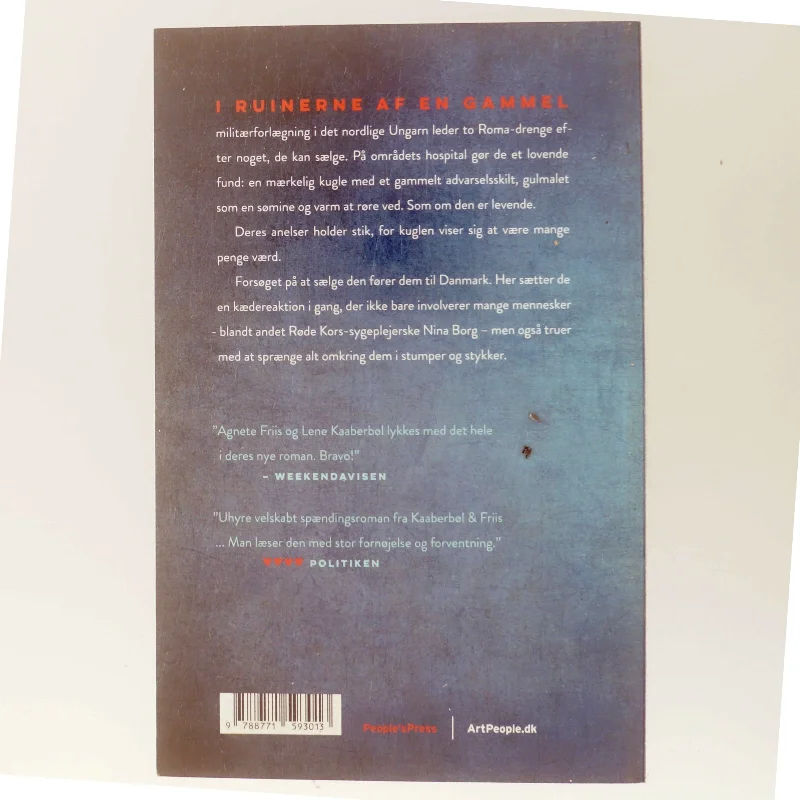 Et stille umærkeligt drab : en Nina Borg roman af Lene Kaaberbøl (Bog)