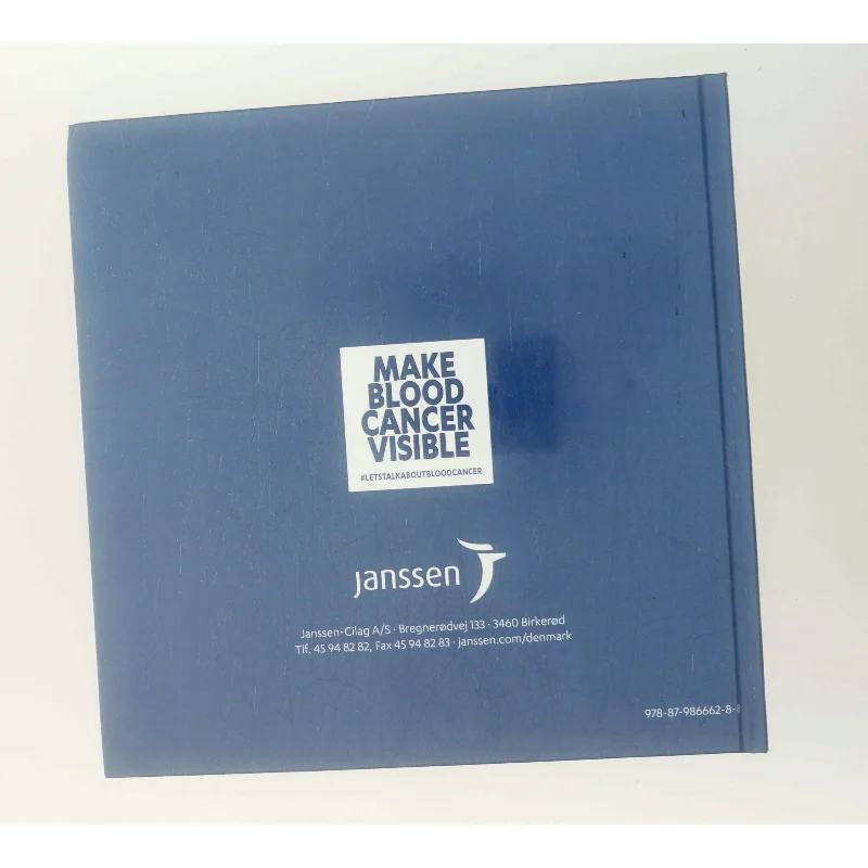 Beslutninger og valg (Bog)