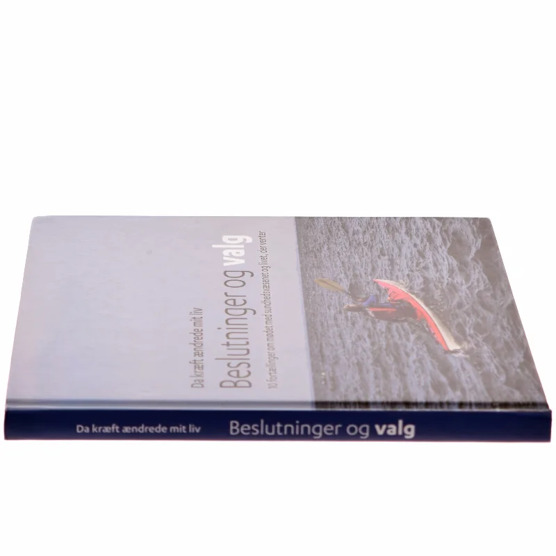 Beslutninger og valg (Bog)