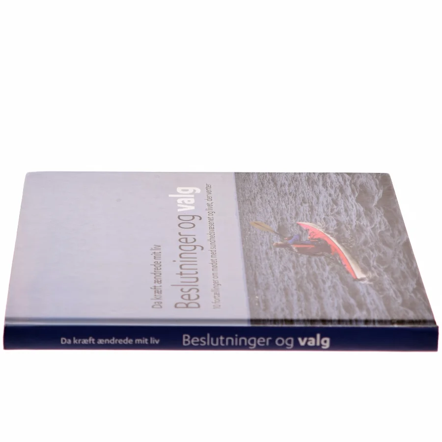 Beslutninger og valg (Bog)