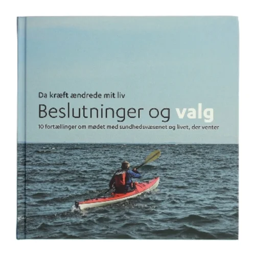 Beslutninger og valg (Bog)