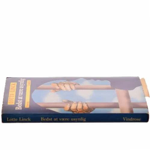 Bedst at være usynlig af Lotte Linck (Bog)