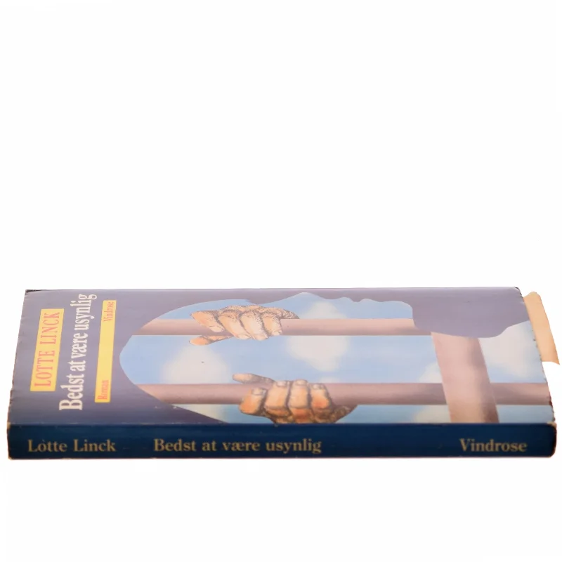 Bedst at være usynlig af Lotte Linck (Bog)