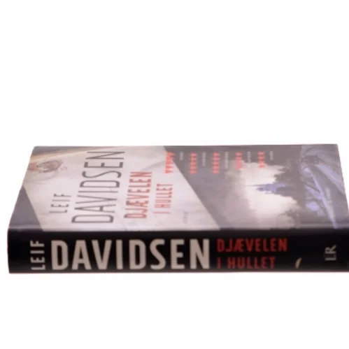 Djævelen i hullet af Leif Davidsen (Bog)