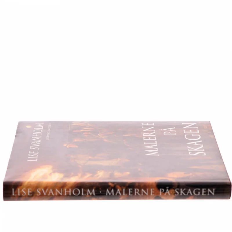 Malerne på Skagen af Lise Svanholm (Bog)