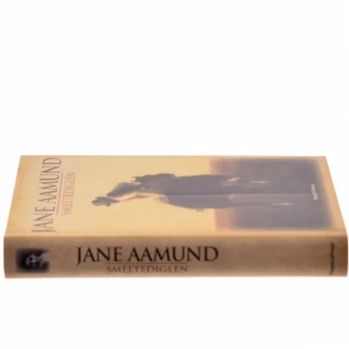 Smeltediglen : andet bind i slægtskrøniken om de dansk-argentinske indvandrere : roman af Jane Aamund (Bog)