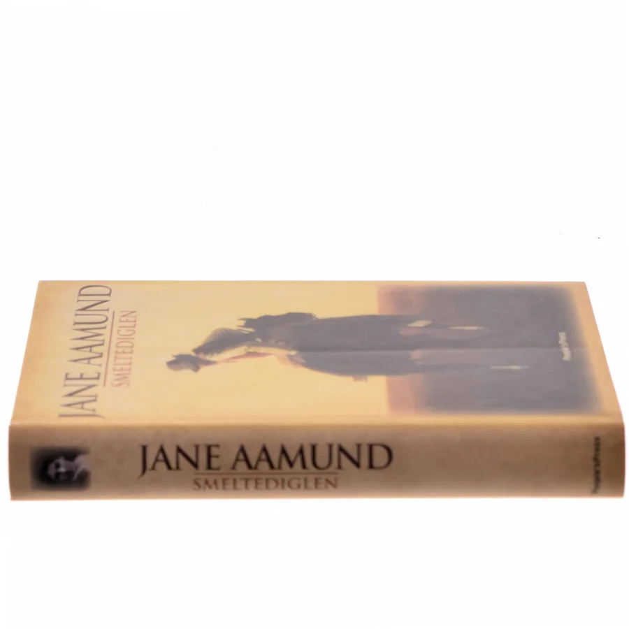 Smeltediglen : andet bind i slægtskrøniken om de dansk-argentinske indvandrere : roman af Jane Aamund (Bog)