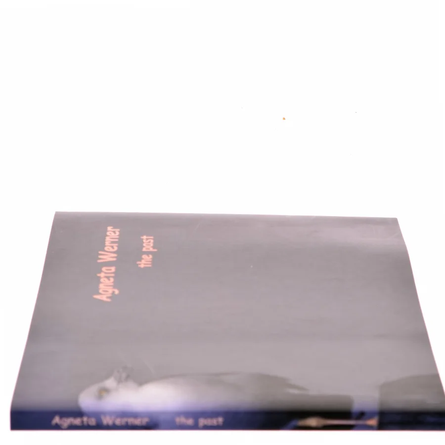 The Past af Agneta Werner (Bog)