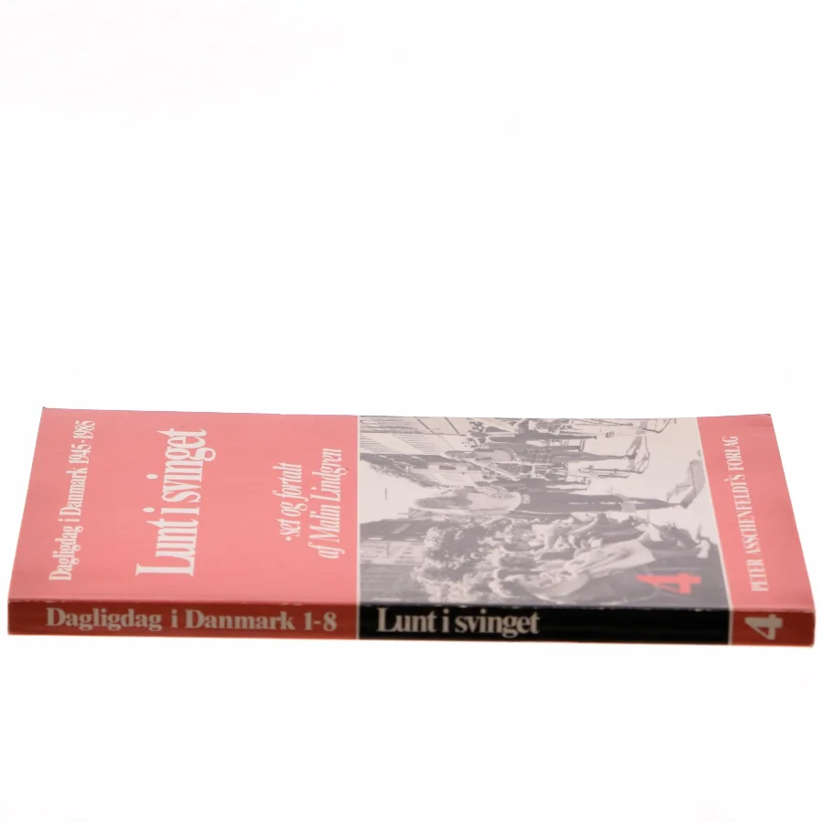 Lunt i svinget af Malin Lindgren (Bog)