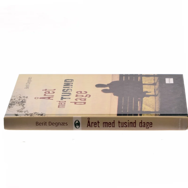 Året med tusind dage af Berit Degnæs (Bog)