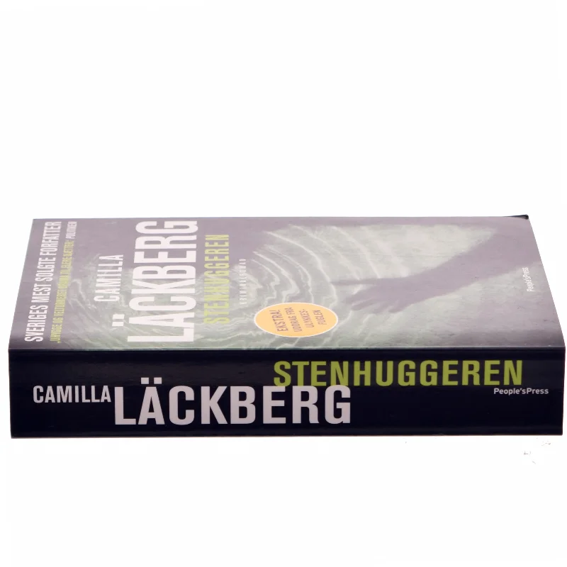 Stenhuggeren : kriminalroman af Camilla Läckberg (Bog)