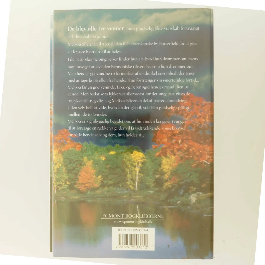 Rør himlen af Susan Madison (Bog)