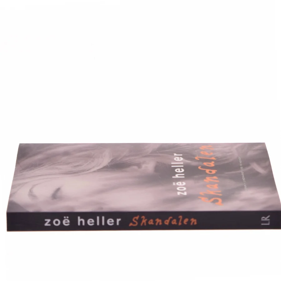 Skandalen af Zoe Heller (Bog)