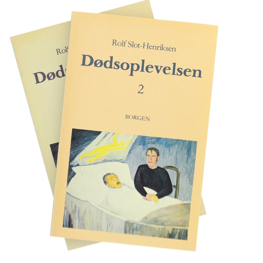 Dødsoplevelsen (Bog)
