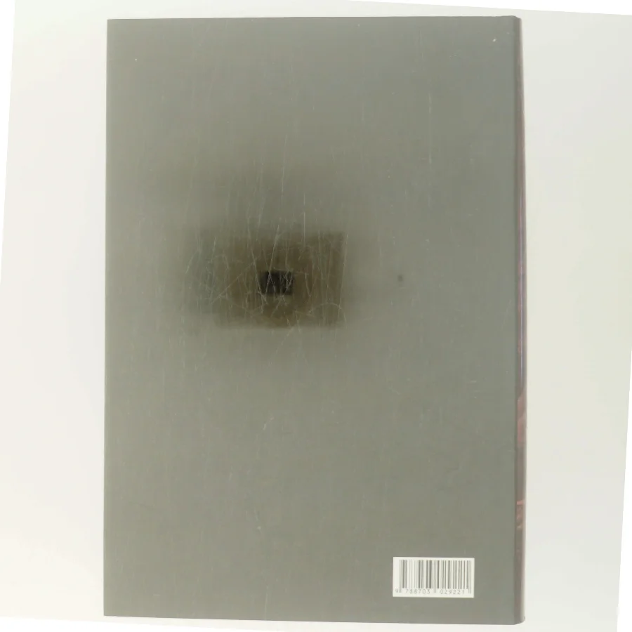 Luftkastellet der blev sprængt af Stieg Larsson (Bog)