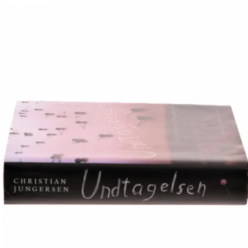 Undtagelsen : roman af Christian Jungersen (Bog)