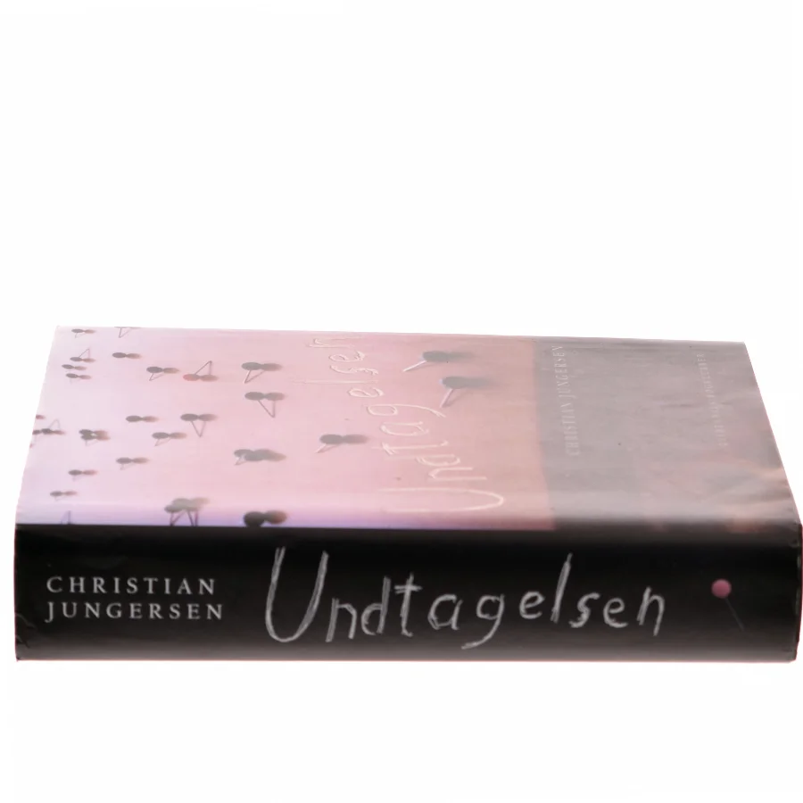 Undtagelsen : roman af Christian Jungersen (Bog)