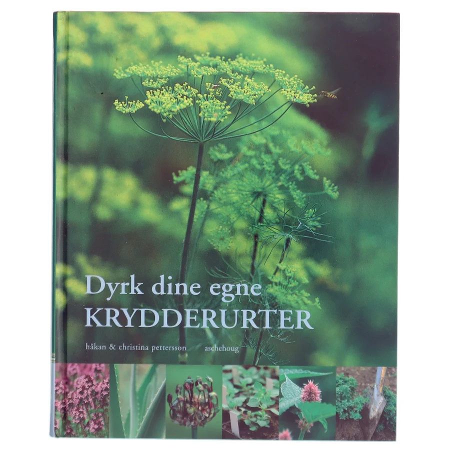 Dyrk dine egne krydderurter (Bog)