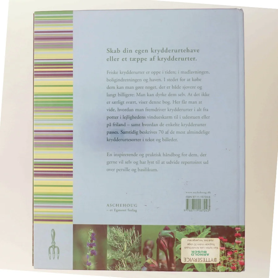 Dyrk dine egne krydderurter (Bog)