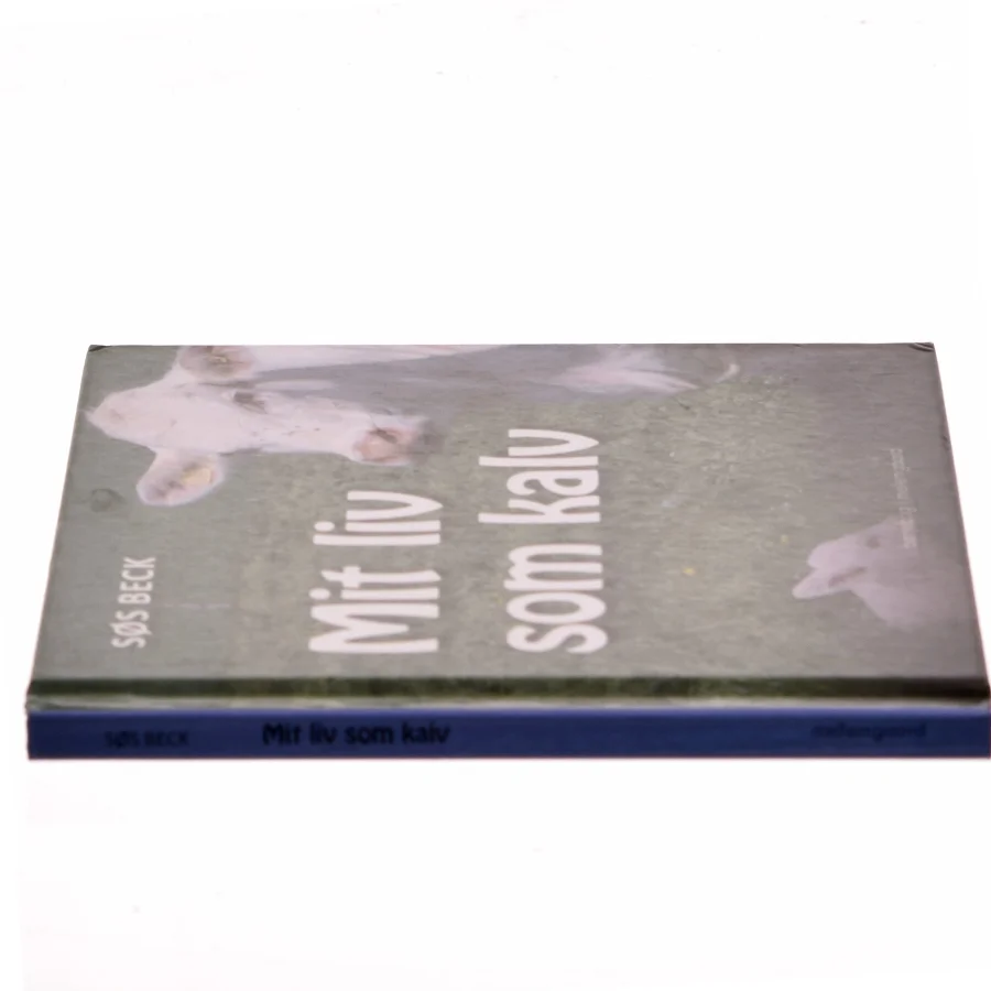 Mit liv som kalv af Søs Beck (f. 1969) (Bog)