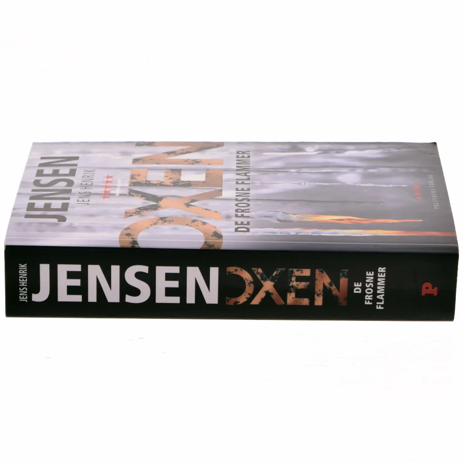 De frosne flammer af Jens Henrik Jensen (f. 1963) (Bog)