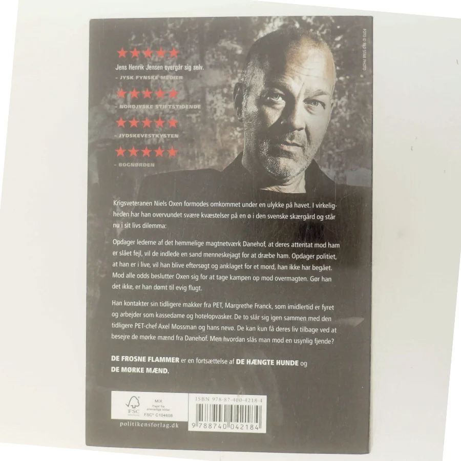 De frosne flammer af Jens Henrik Jensen (f. 1963) (Bog)