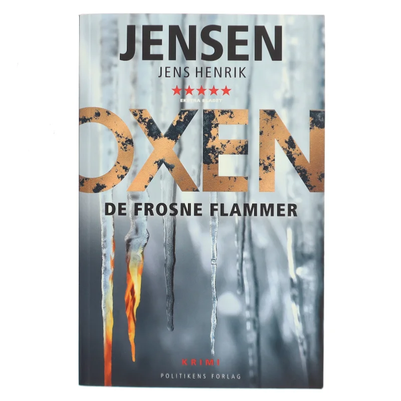 De frosne flammer af Jens Henrik Jensen (f. 1963) (Bog)