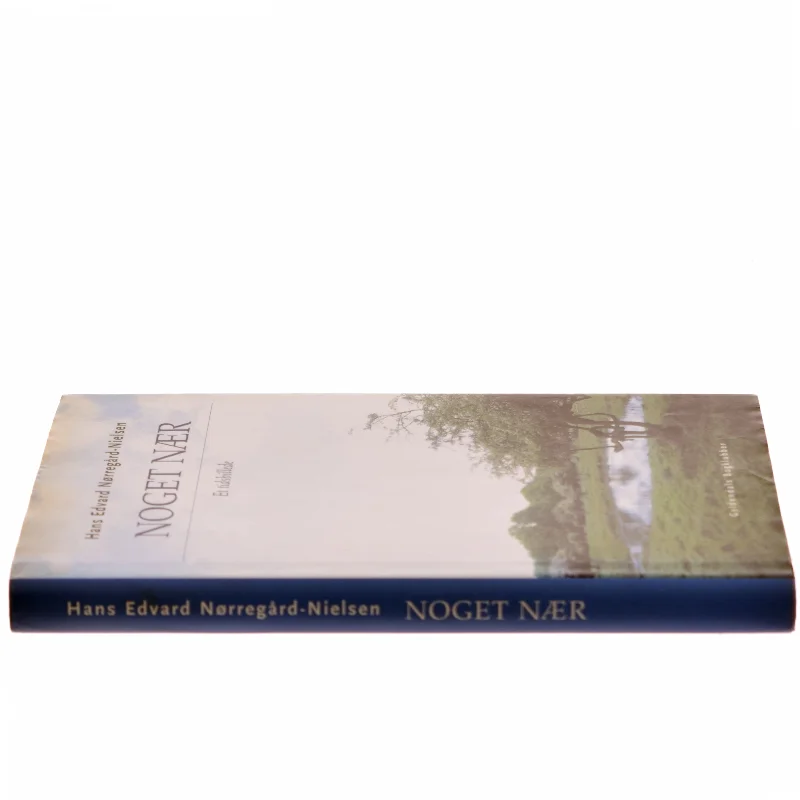 Noget nær : et tidsbillede af Hans Edvard Nørregård-Nielsen (Bog)
