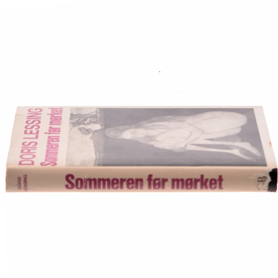 Sommeren før mørket af Doris Lessing (Bog)