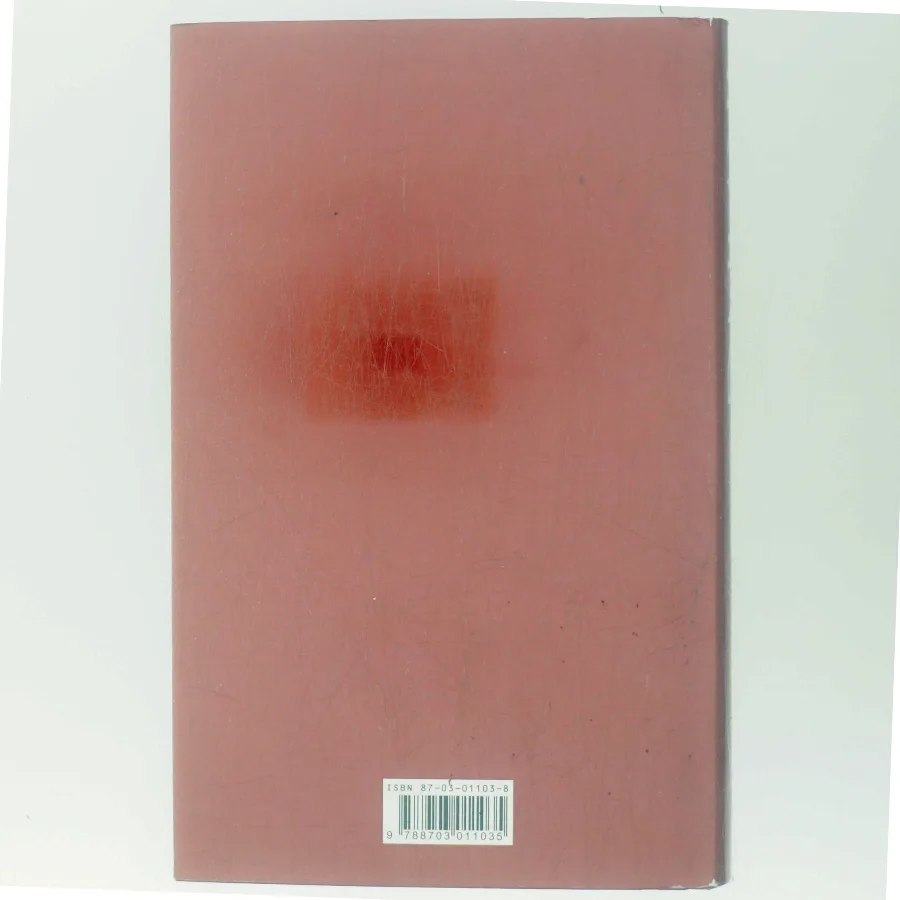 Indtil jeg finder dig af John Irving (Bog)