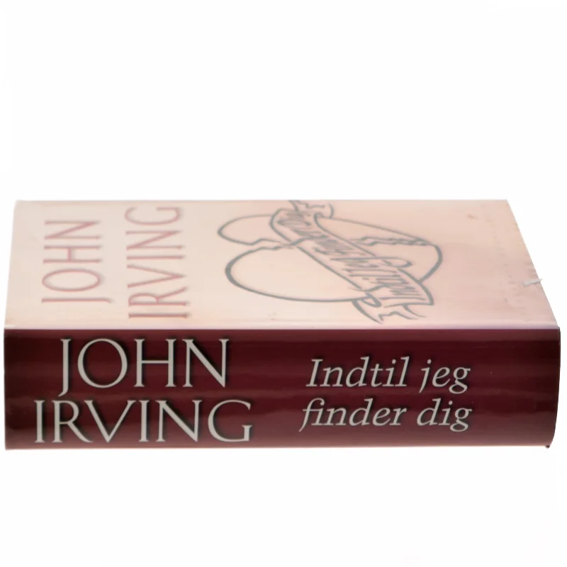 Indtil jeg finder dig af John Irving (Bog)