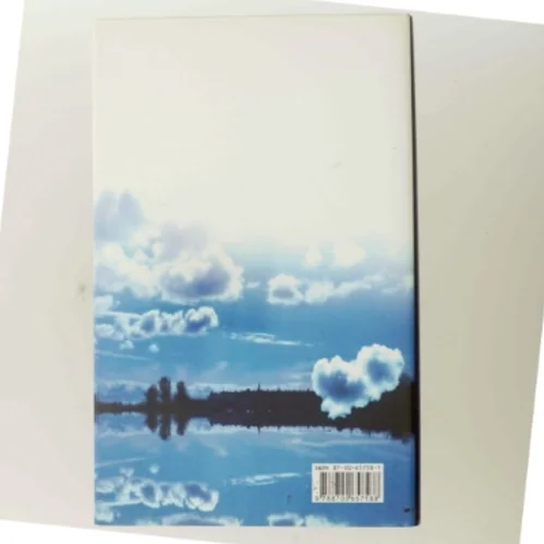 Alt forladt : roman af Helle Højland (Bog)