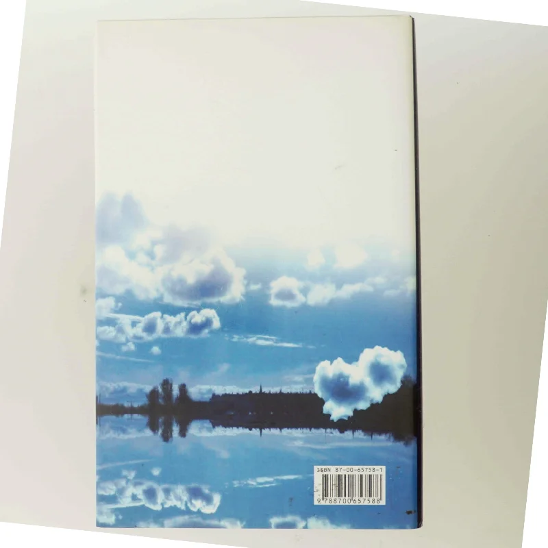 Alt forladt : roman af Helle Højland (Bog)