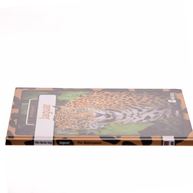 Jaguar af Turbine (Bog)