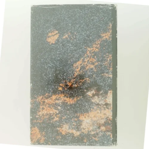 En Rem af Huden af Bjarne Reuter