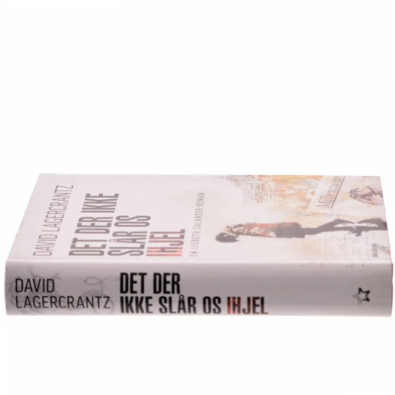 Det der ikke slår os ihjel af David Lagercrantz (Bog)