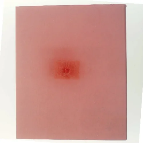 Dansk kunst 96 af <Udfyld bogens forfattere> (Bog)