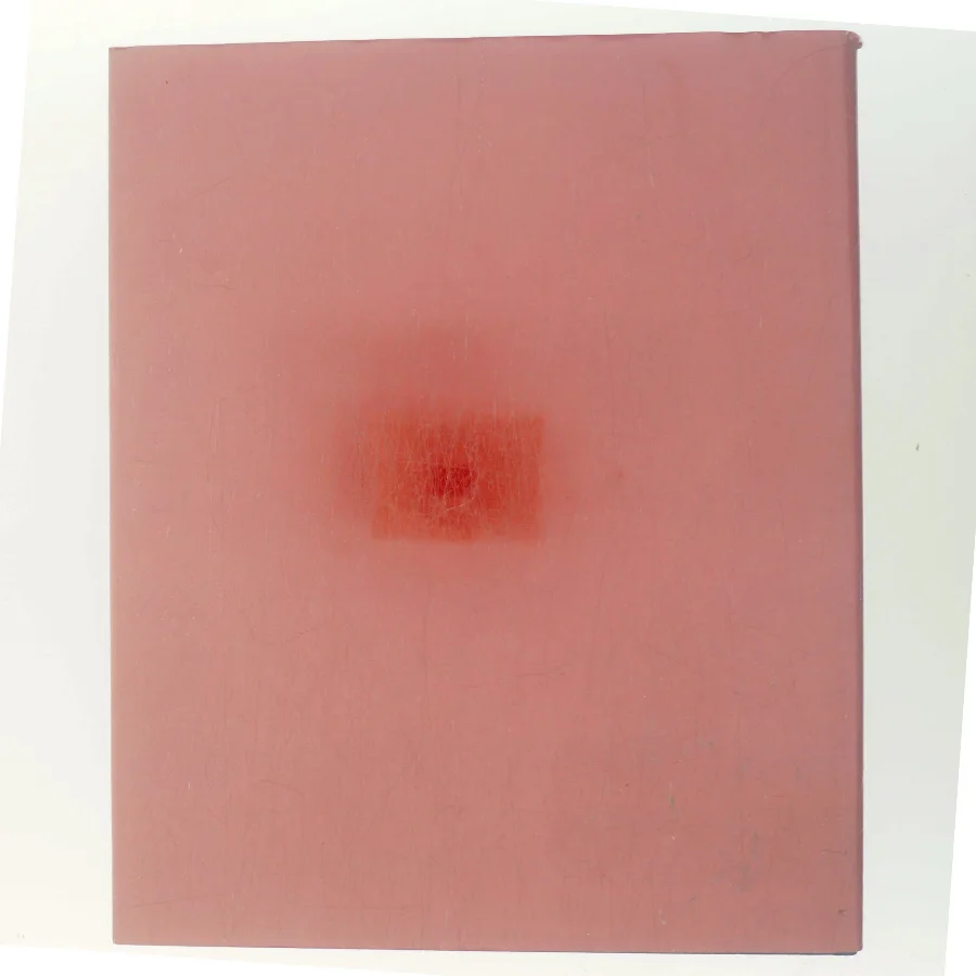 Dansk kunst 96 af <Udfyld bogens forfattere> (Bog)