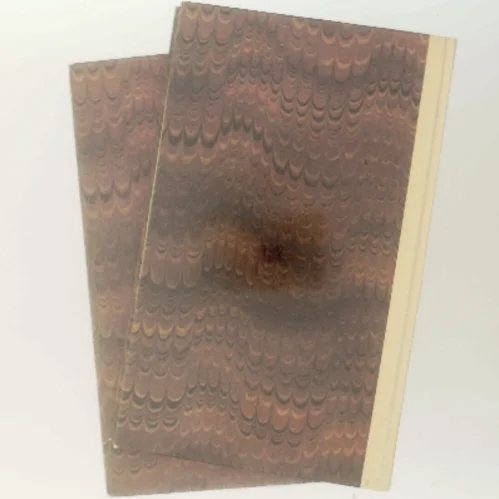 Familien Bertini af Ralph Giordano (Bog)