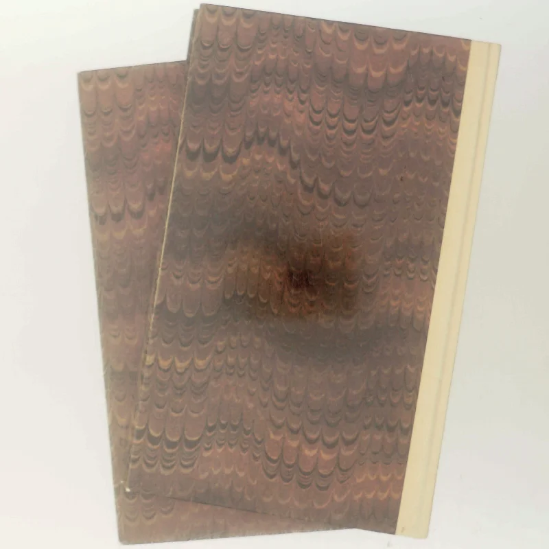 Familien Bertini af Ralph Giordano (Bog)