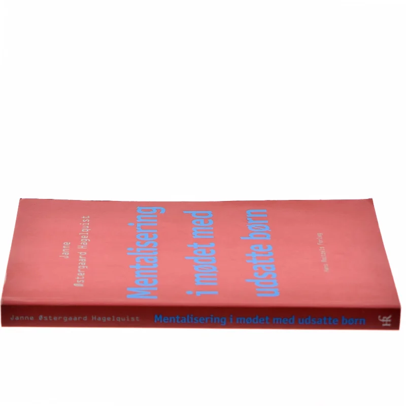 Mentalisering i mødet med udsatte børn af Janne Østergaard Hagelquist (Bog)