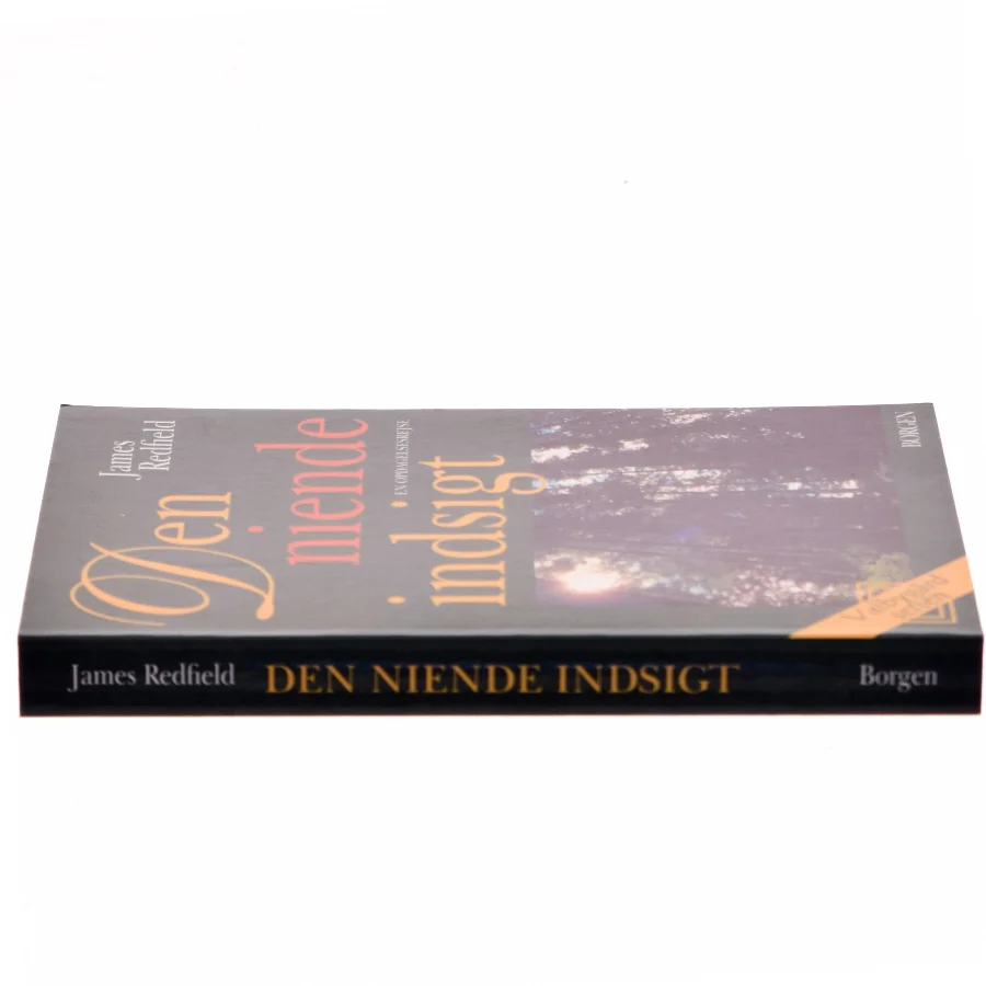 Den niende indsigt : en opdagelsesrejse af James Redfield (Bog)